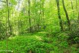 Short Moutain Rd - Photo 10