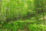  Short Moutain Rd - Photo 15
