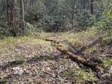 Short Moutain Rd - Photo 17