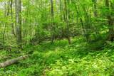  Short Moutain Rd - Photo 8