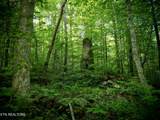 3895 Coppinger Cove Rd - Photo 22