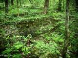 3895 Coppinger Cove Rd - Photo 23