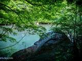 3895 Coppinger Cove Rd - Photo 28