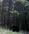 0 Kimberlin Heights Rd - Photo 8