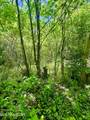  Stoney Fork Rd - Photo 1