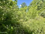  Stoney Fork Rd - Photo 3