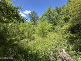  Stoney Fork Rd - Photo 4
