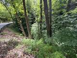  Wears Valley Rd Rd - Photo 2