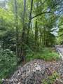  Wears Valley Rd Rd - Photo 4