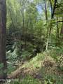  Wears Valley Rd Rd - Photo 9