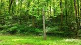 Lot 6 Covemont Lane - Photo 10
