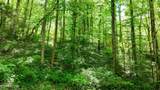Lot 6 Covemont Lane - Photo 9