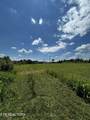 11730 Chapman Hwy - Photo 6