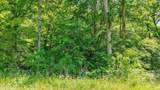 L-12 Mountain Shores Rd - Photo 9