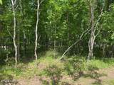11 Rolling Green Circle - Photo 4