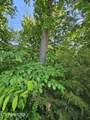 lot 15 Saddleback Way - Photo 4