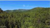  Rich Mountain Way - Photo 10