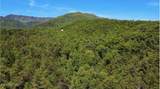  Rich Mountain Way - Photo 11