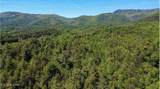  Rich Mountain Way - Photo 14