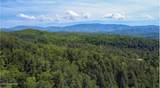  Rich Mountain Way - Photo 16