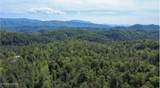  Rich Mountain Way - Photo 17