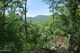  Rich Mountain Way - Photo 29