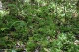  Rich Mountain Way - Photo 8