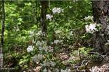  Bryant Hollow Lot 3 Way - Photo 13