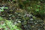  Bryant Hollow Lot 3 Way - Photo 2