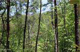  Bryant Hollow Lot 3 Way - Photo 4