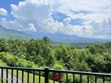 3710 Weber Rd - Photo 41