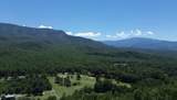 3710 Weber Rd - Photo 42