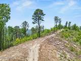  Hatcher Mtn Rd - Photo 10