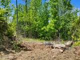  Hatcher Mtn Rd - Photo 12