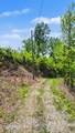  Hatcher Mtn Rd - Photo 13