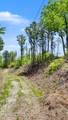  Hatcher Mtn Rd - Photo 14