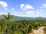  Hatcher Mtn Rd - Photo 4
