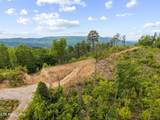  Hatcher Mtn Rd - Photo 5