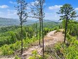  Hatcher Mtn Rd - Photo 8