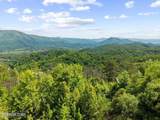  Hatcher Mountain Rd - Photo 1