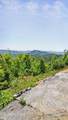  Hatcher Mountain Rd - Photo 10