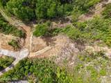  Hatcher Mountain Rd - Photo 11