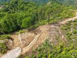  Hatcher Mountain Rd - Photo 12