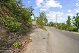  Hatcher Mountain Rd - Photo 13