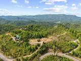  Hatcher Mountain Rd - Photo 16