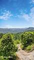  Hatcher Mountain Rd - Photo 19