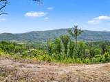  Hatcher Mountain Rd - Photo 21