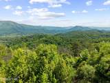  Hatcher Mountain Rd - Photo 27