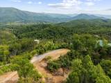  Hatcher Mountain Rd - Photo 6