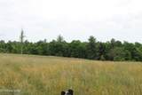 232 Wright Cemetery Rd - Photo 15